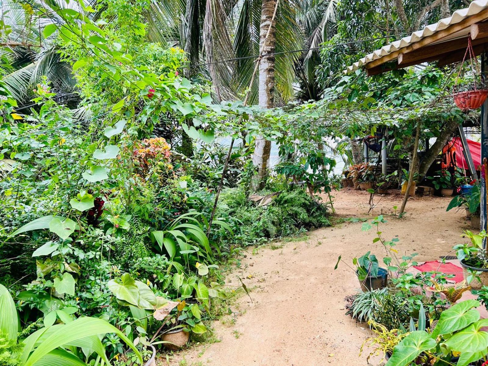 Surf Paradise Tangalle Eksteriør billede