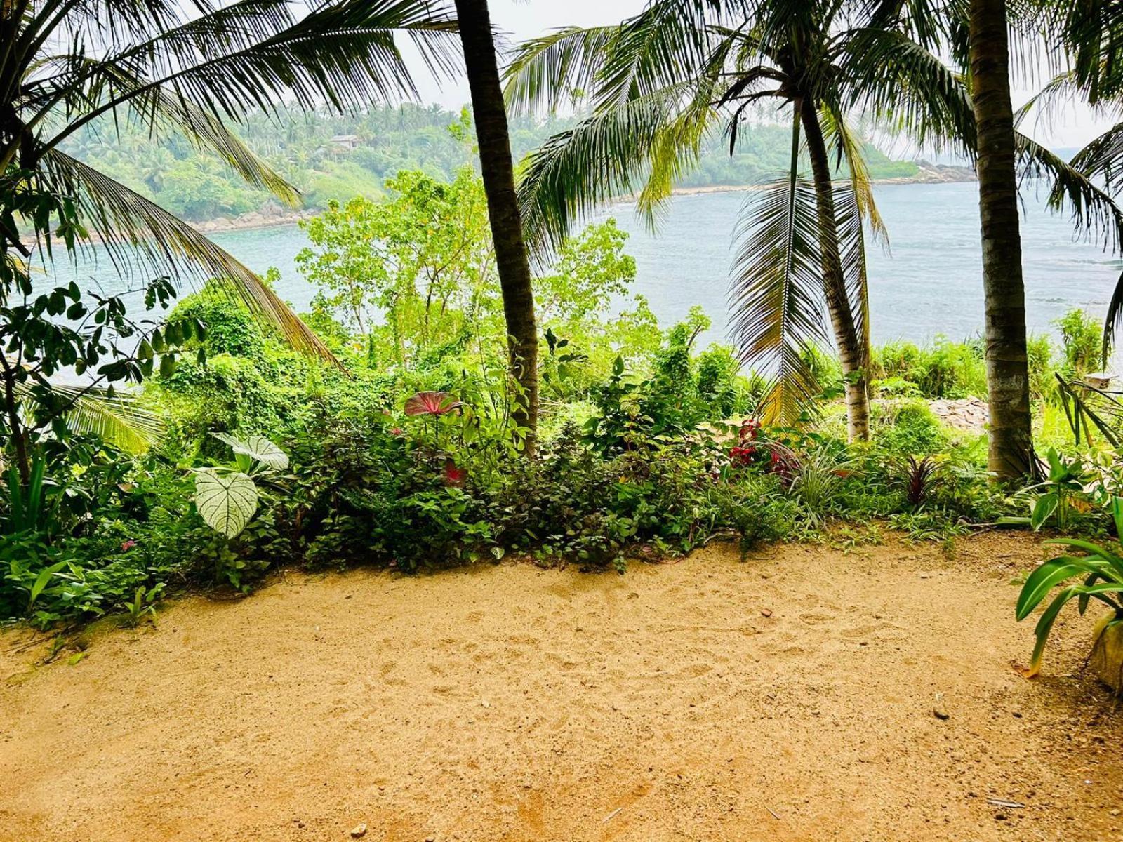 Surf Paradise Tangalle Eksteriør billede