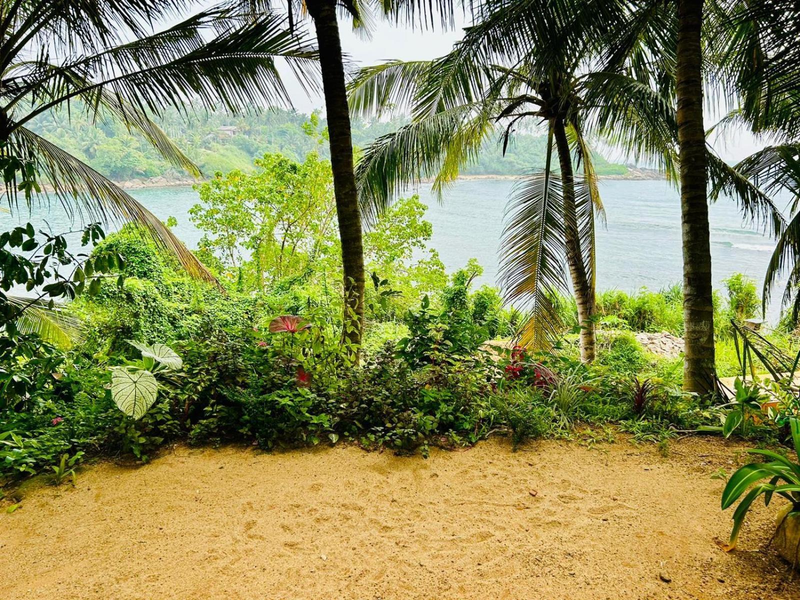 Surf Paradise Tangalle Eksteriør billede