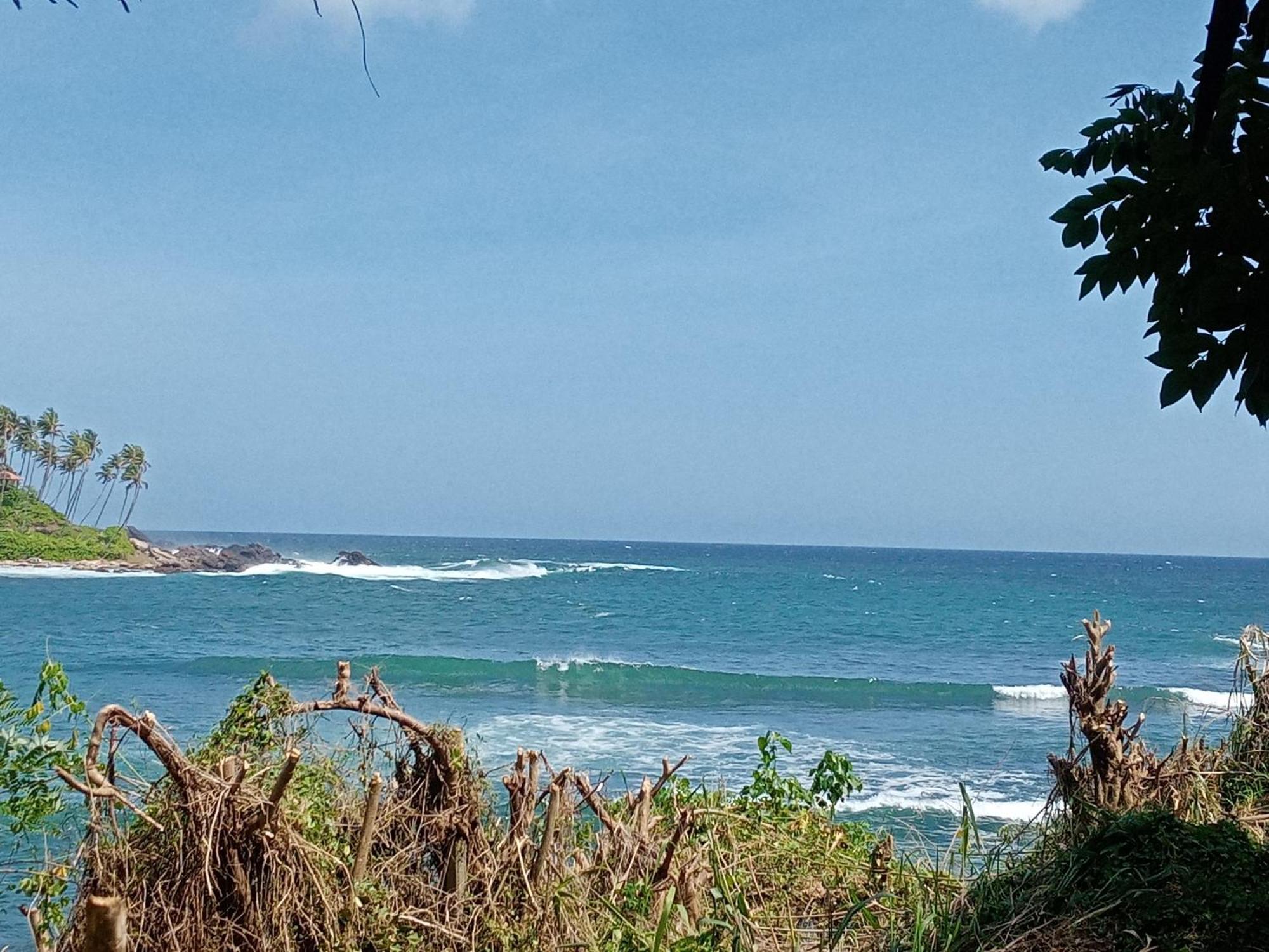 Surf Paradise Tangalle Eksteriør billede
