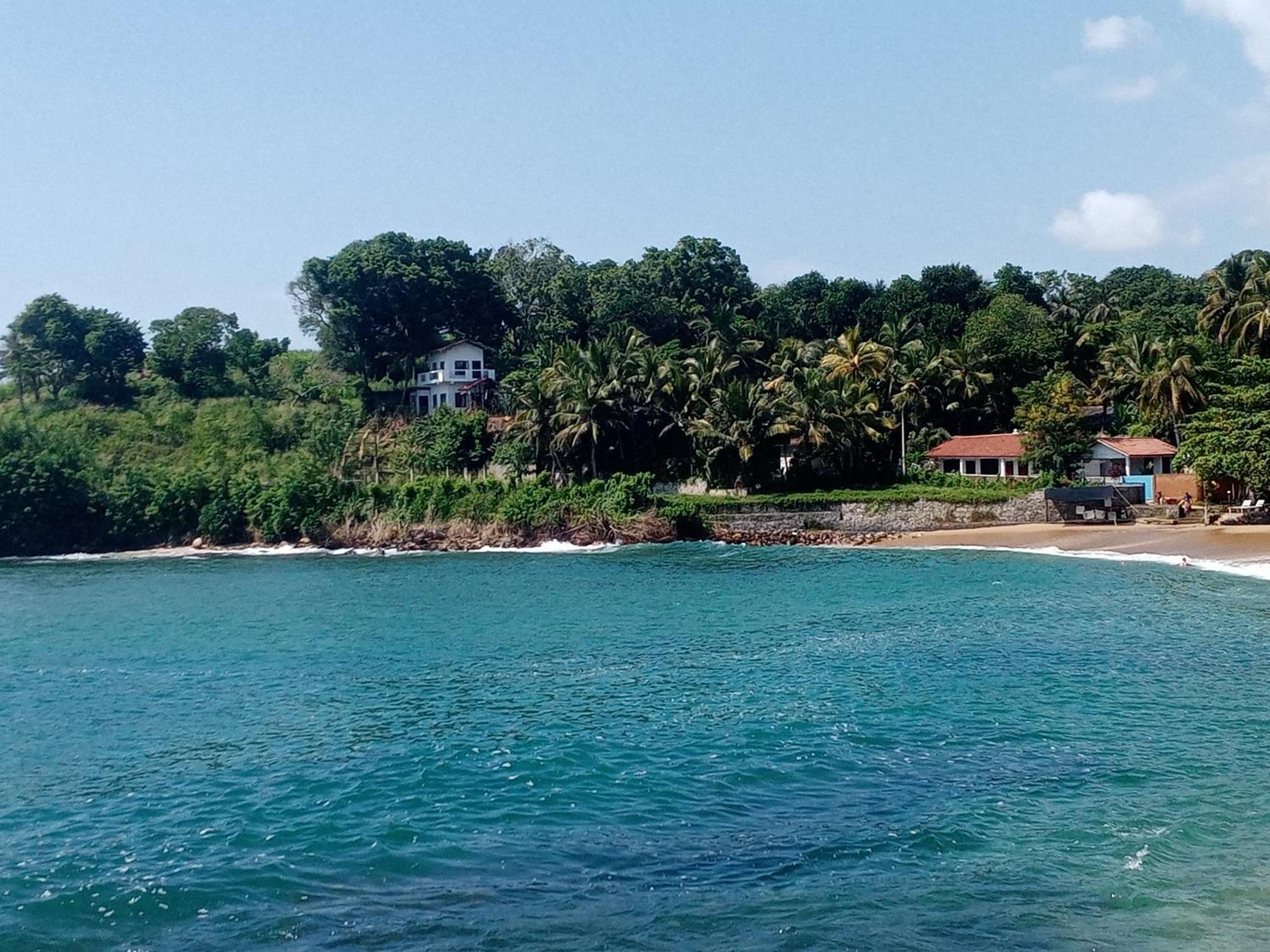 Surf Paradise Tangalle Eksteriør billede