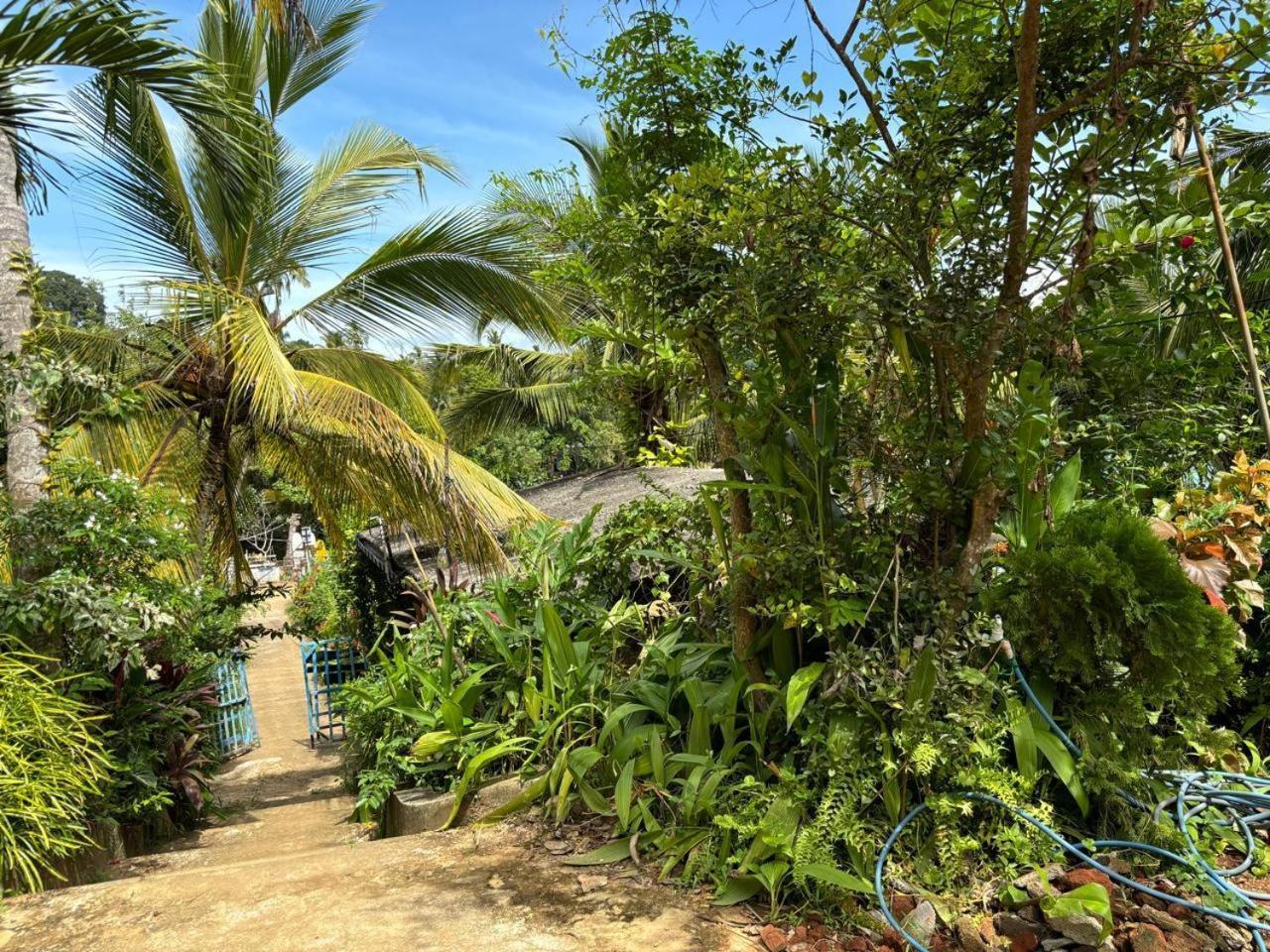 Surf Paradise Tangalle Eksteriør billede